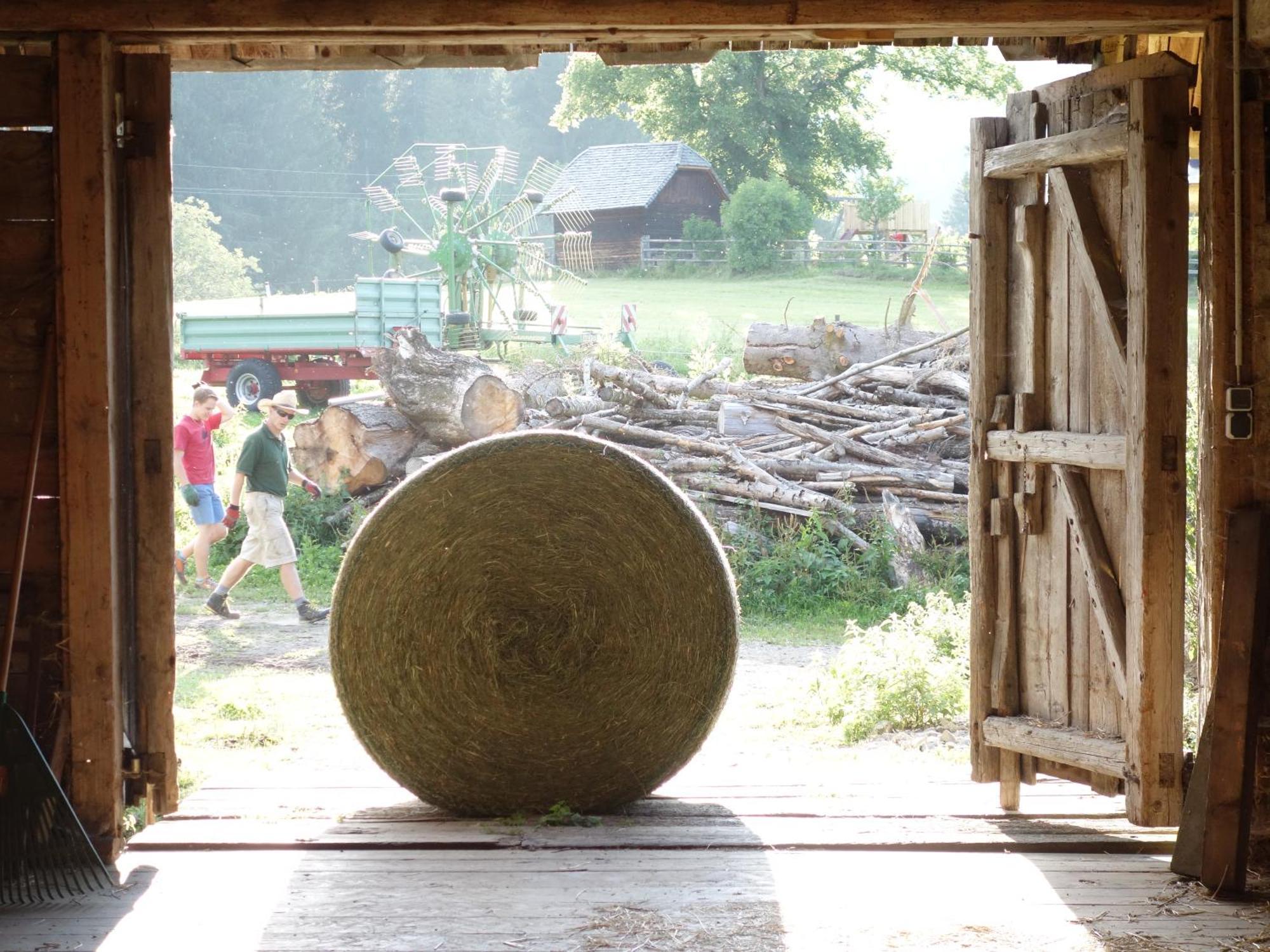 Villa Urlaub Am Bio-Bauernhof Liebchen Zeutschach Esterno foto