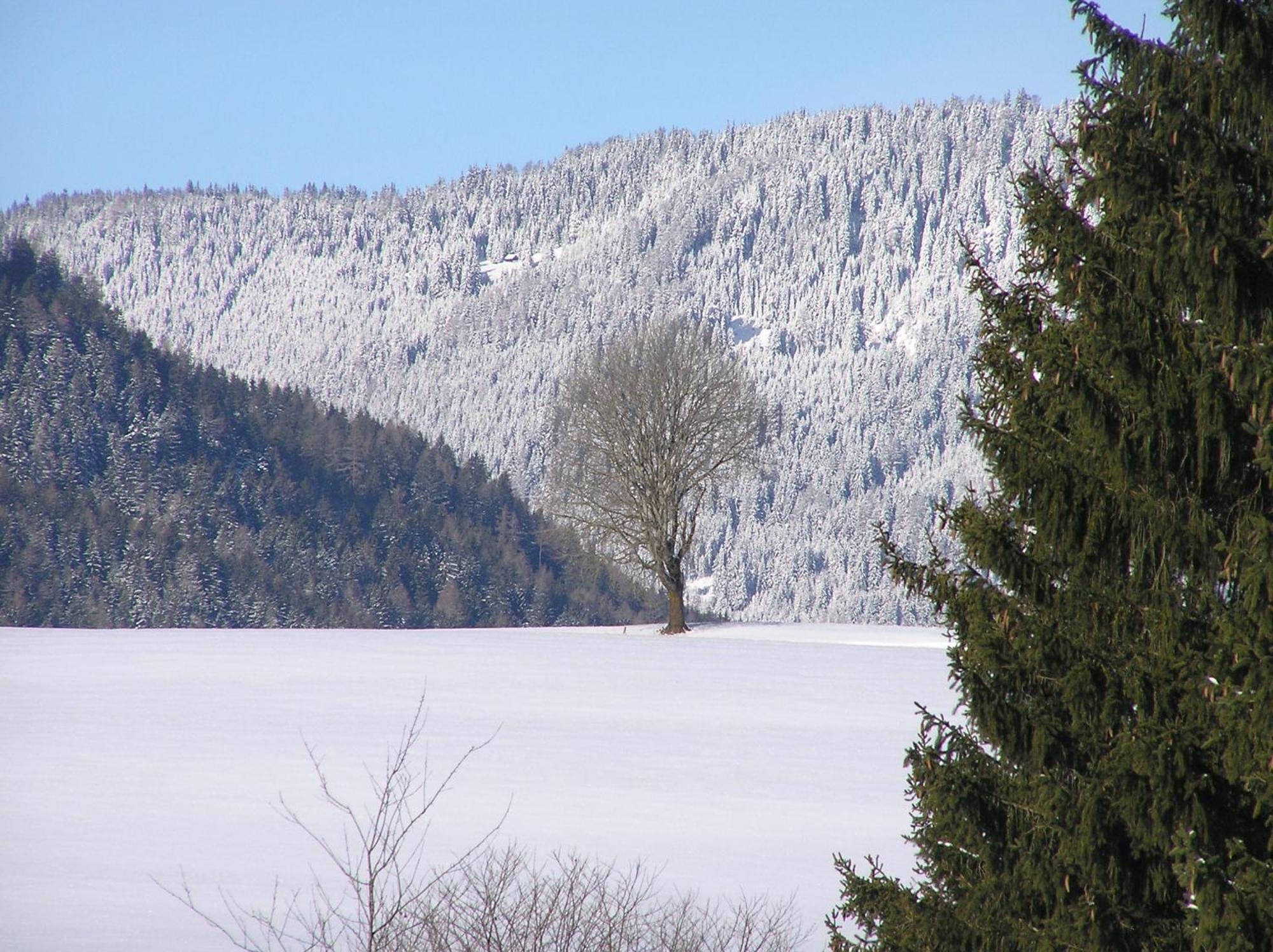 Villa Urlaub Am Bio-Bauernhof Liebchen Zeutschach Esterno foto