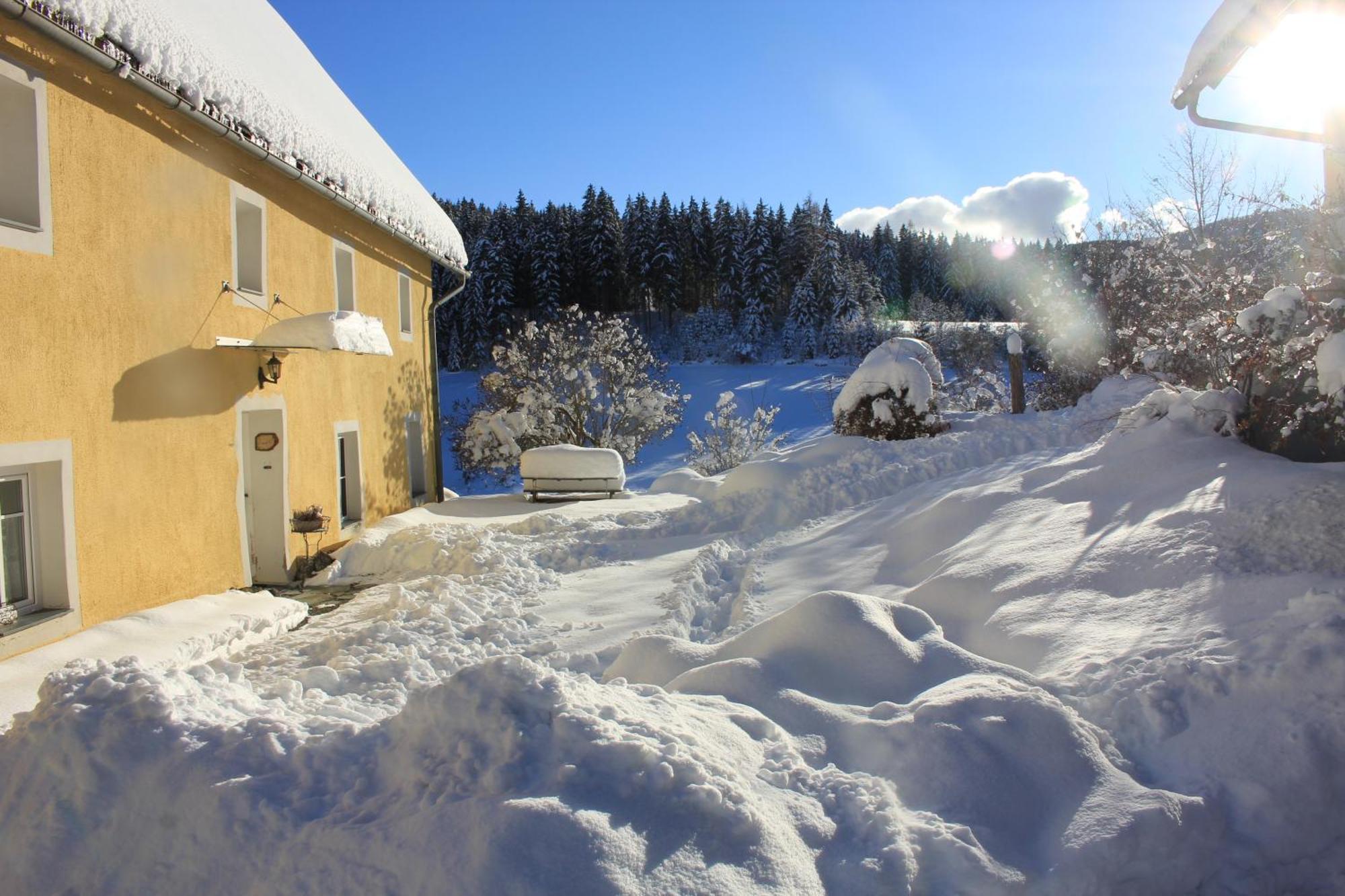 Villa Urlaub Am Bio-Bauernhof Liebchen Zeutschach Esterno foto