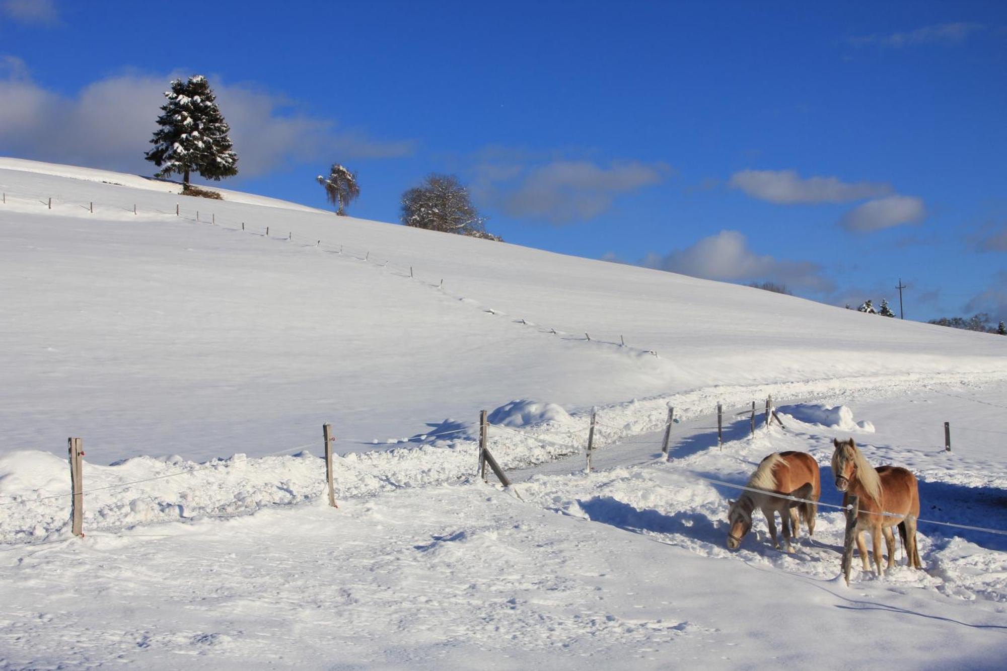 Villa Urlaub Am Bio-Bauernhof Liebchen Zeutschach Esterno foto