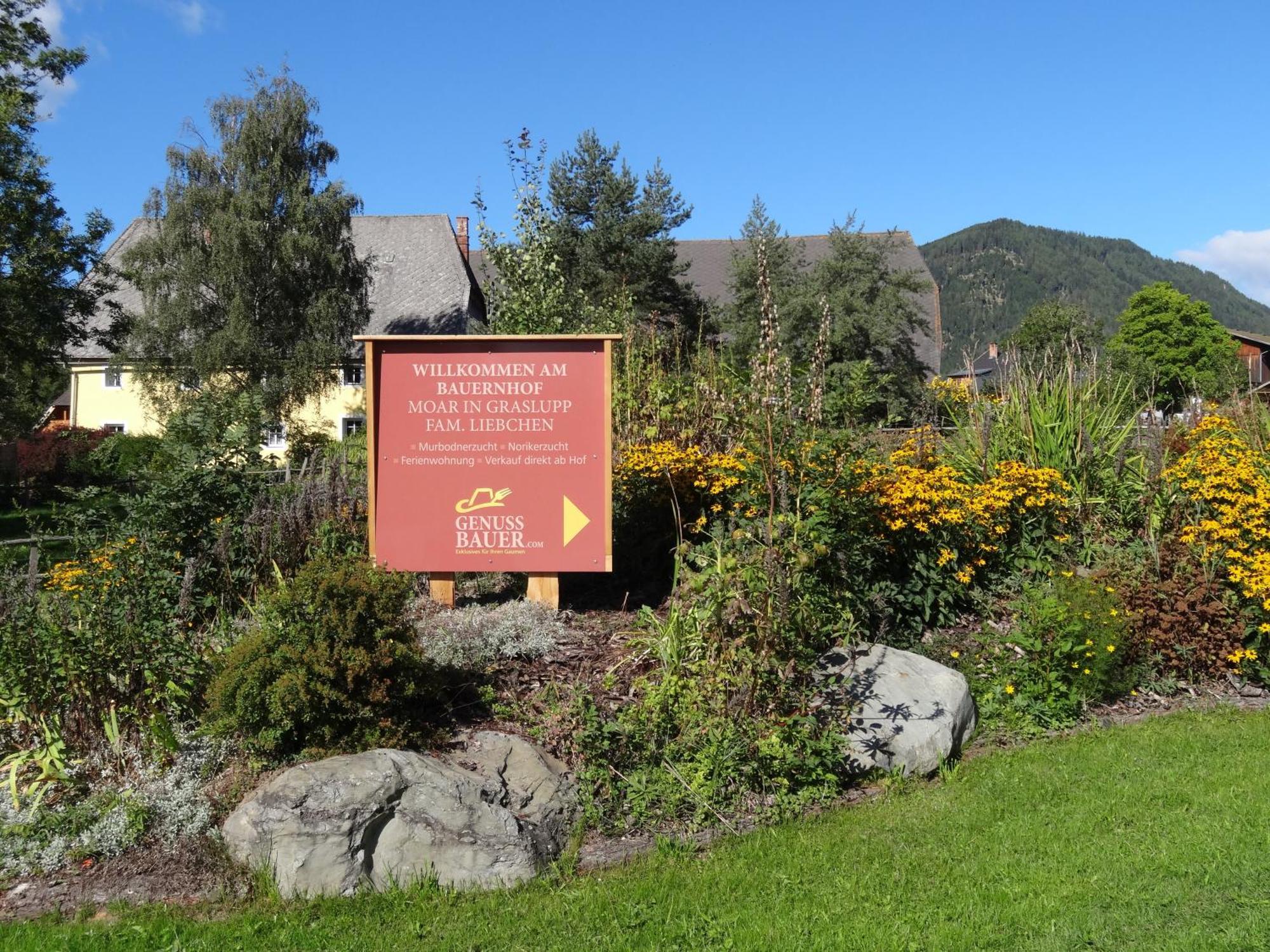 Villa Urlaub Am Bio-Bauernhof Liebchen Zeutschach Esterno foto