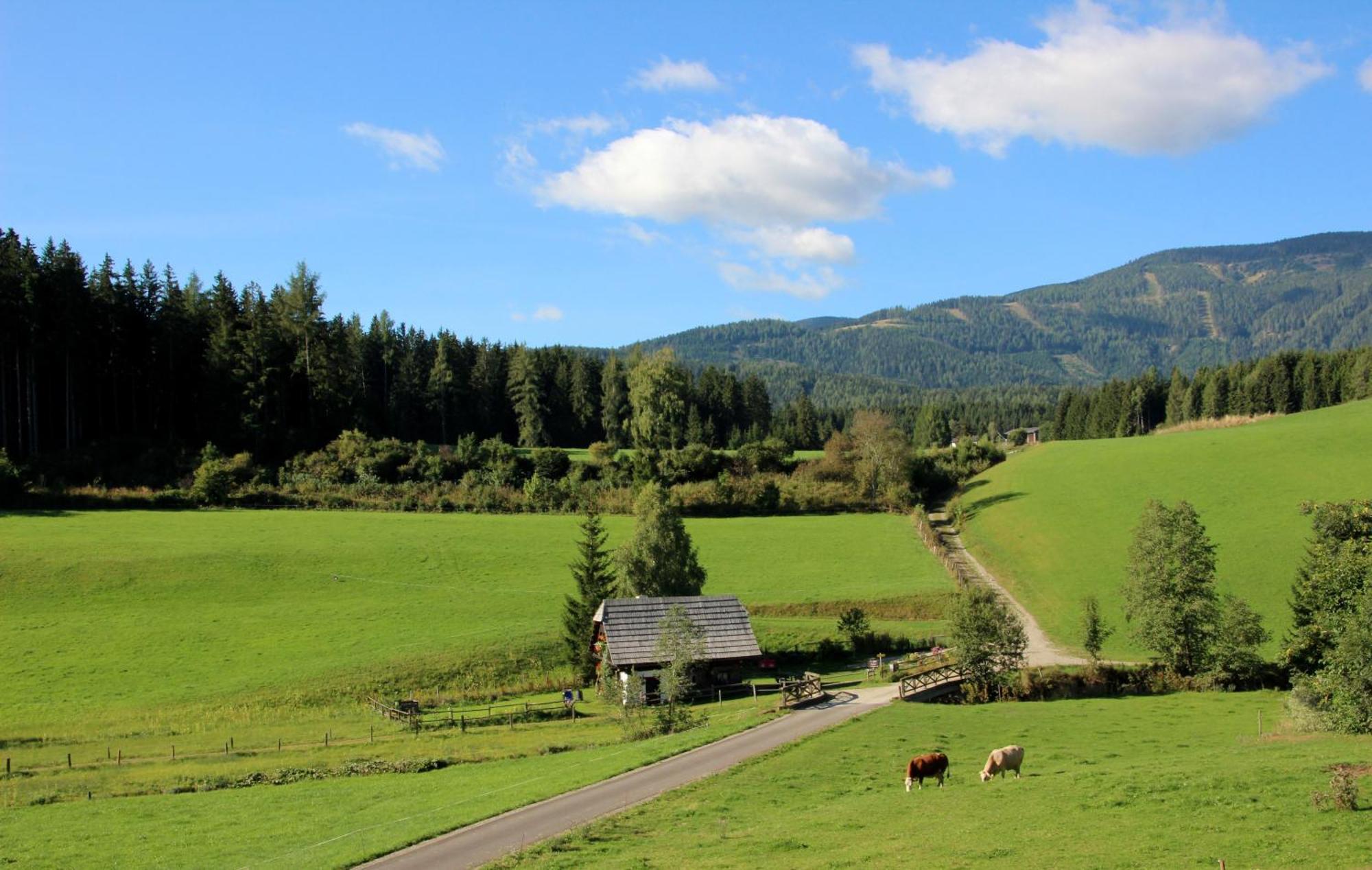 Villa Urlaub Am Bio-Bauernhof Liebchen Zeutschach Esterno foto
