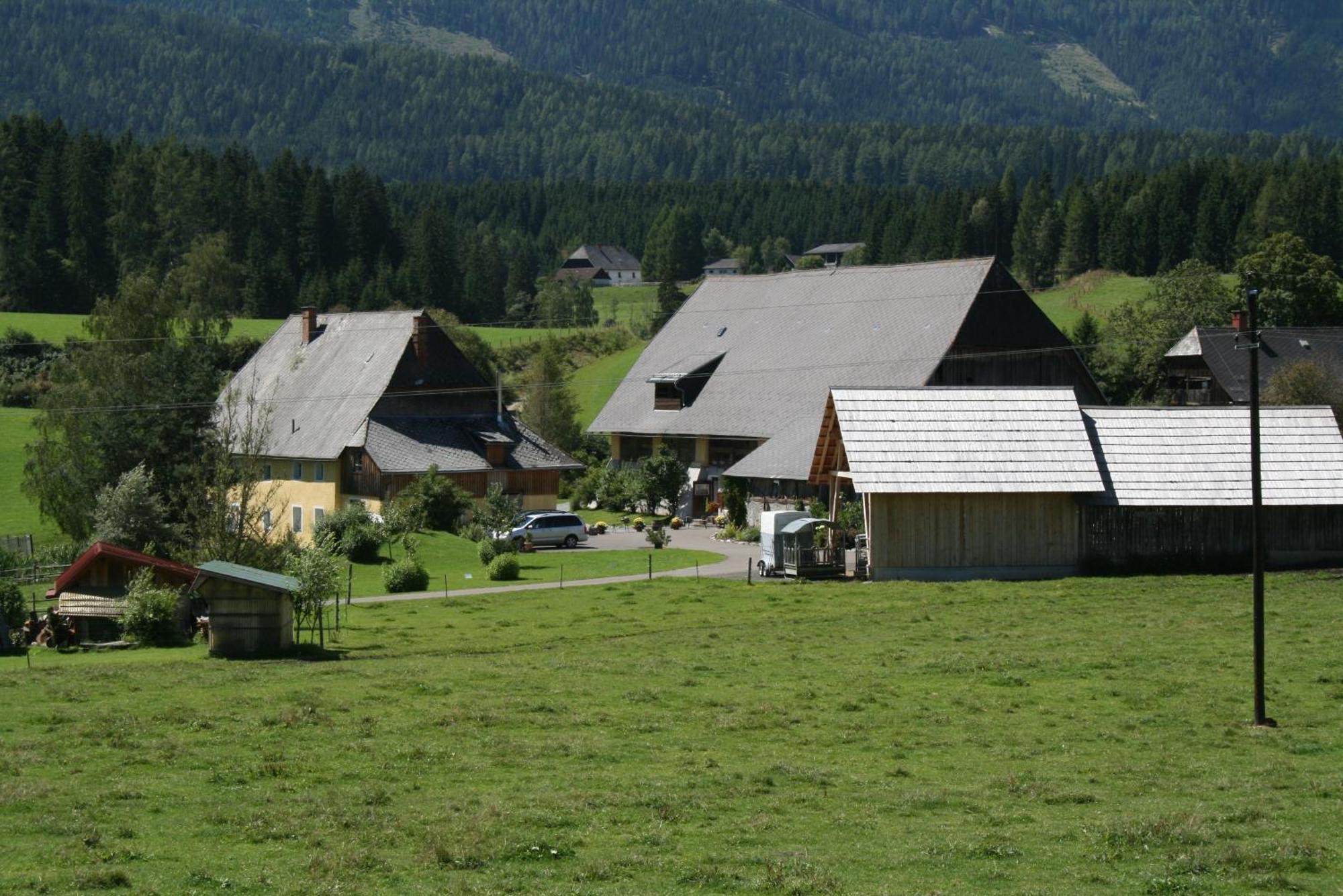 Villa Urlaub Am Bio-Bauernhof Liebchen Zeutschach Esterno foto