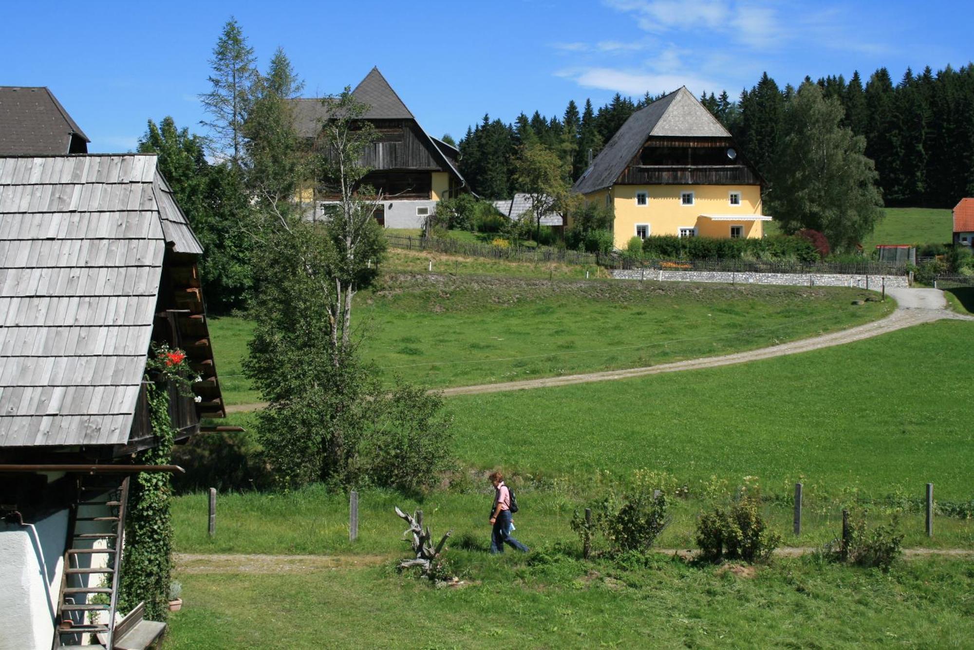 Villa Urlaub Am Bio-Bauernhof Liebchen Zeutschach Esterno foto