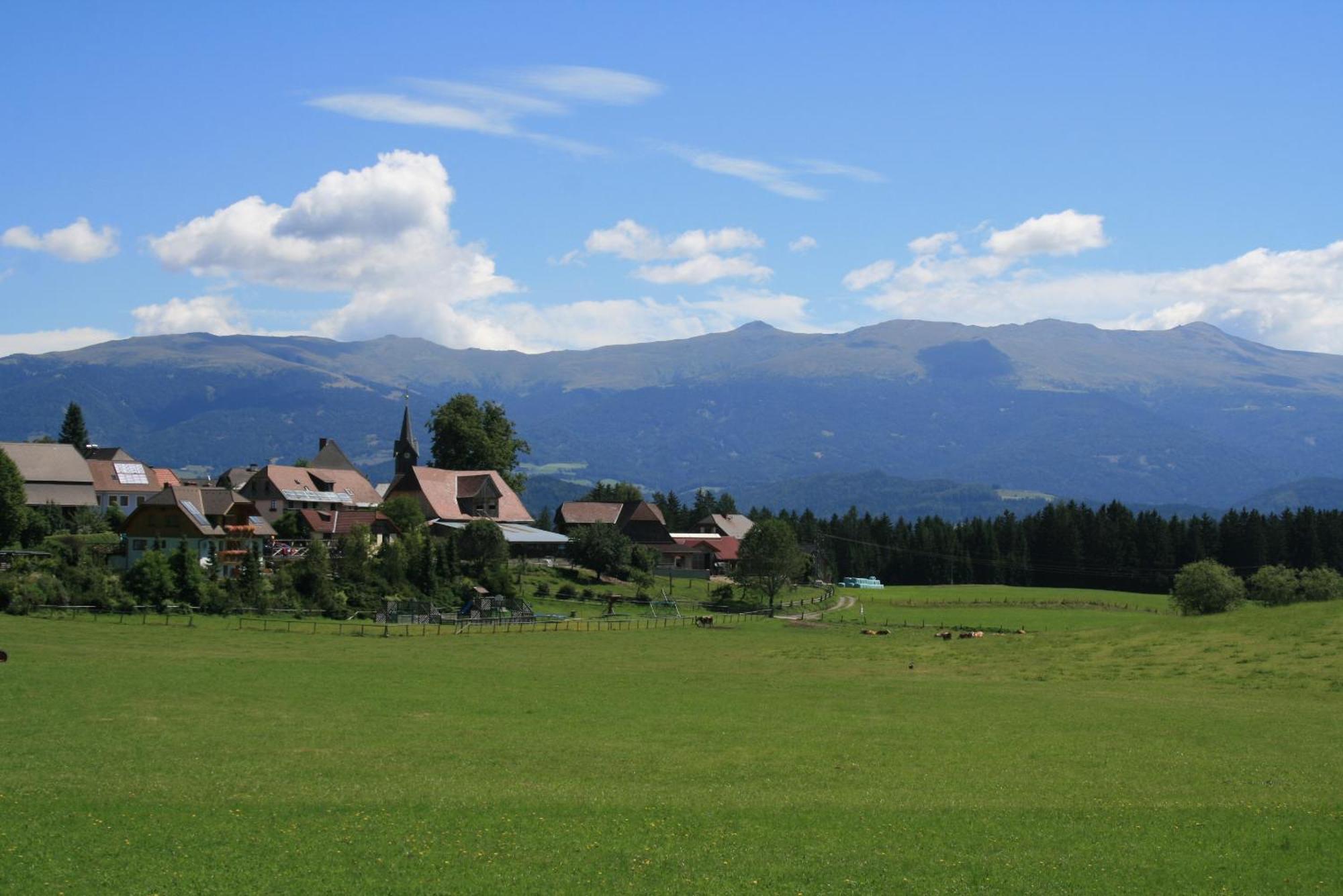 Villa Urlaub Am Bio-Bauernhof Liebchen Zeutschach Esterno foto