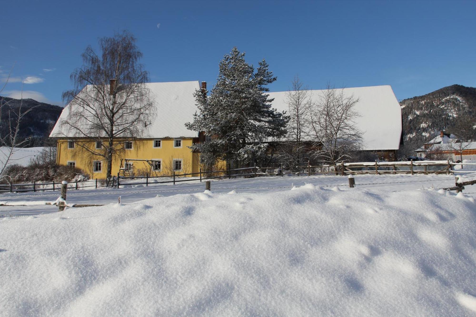 Villa Urlaub Am Bio-Bauernhof Liebchen Zeutschach Esterno foto