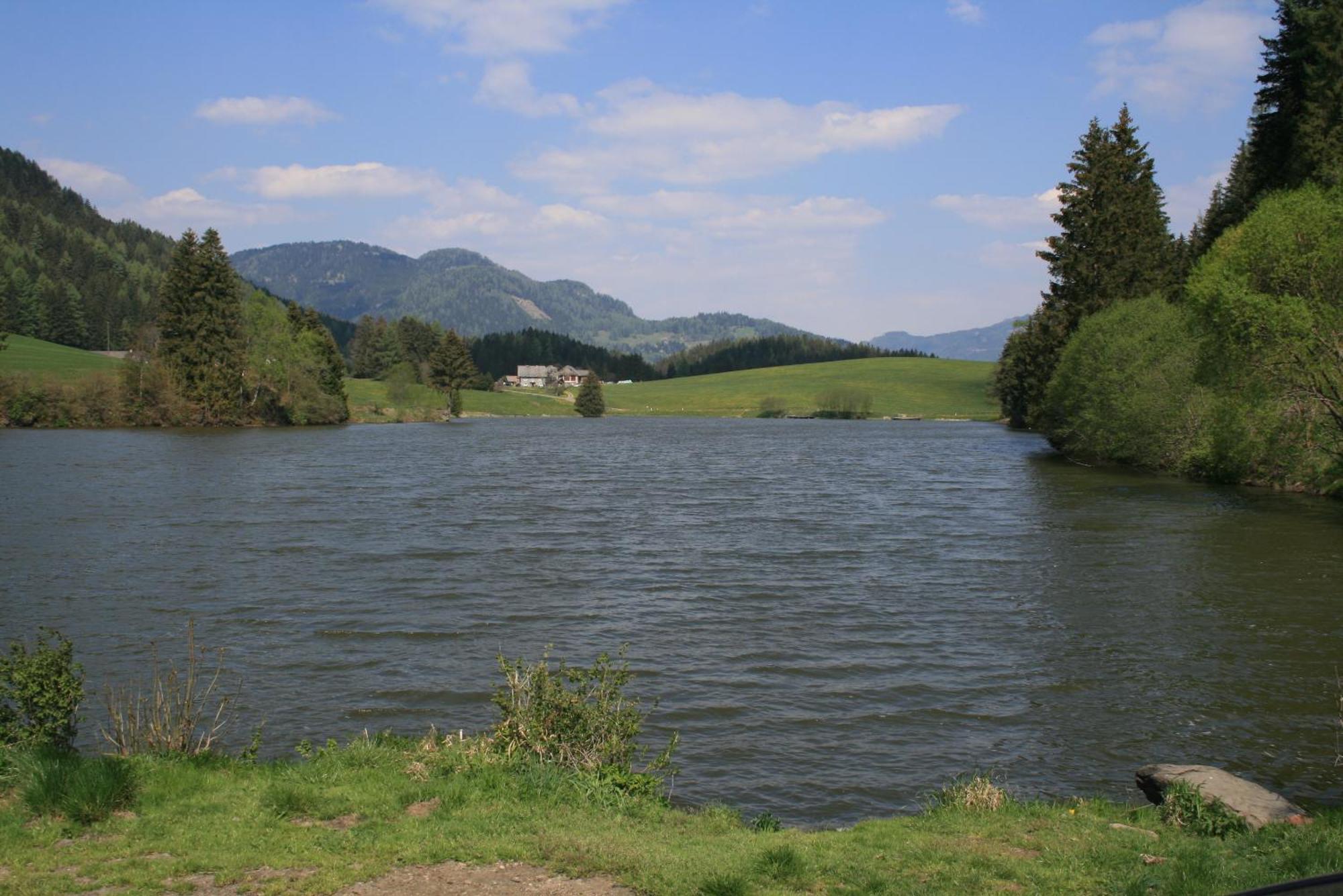 Villa Urlaub Am Bio-Bauernhof Liebchen Zeutschach Esterno foto