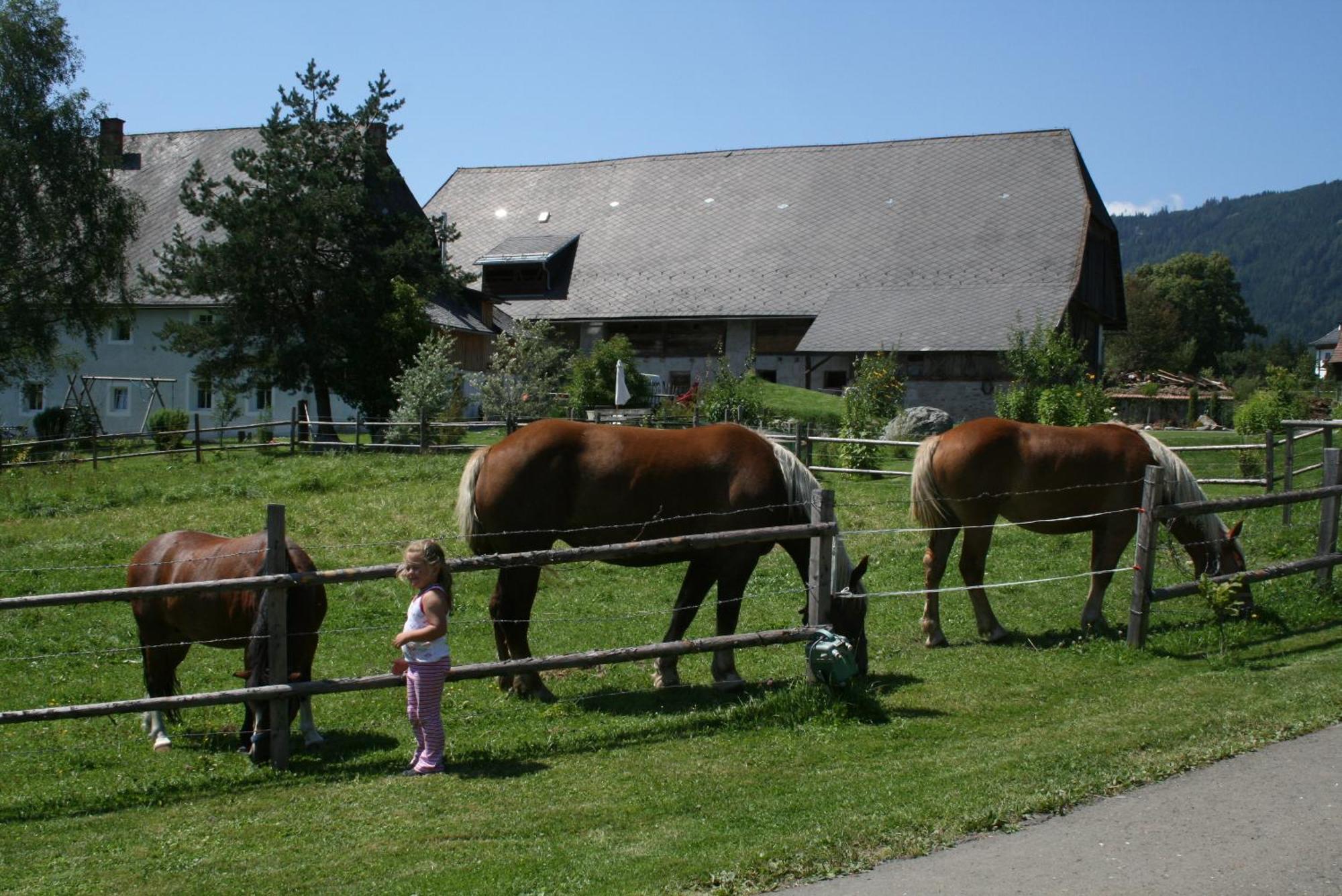 Villa Urlaub Am Bio-Bauernhof Liebchen Zeutschach Esterno foto