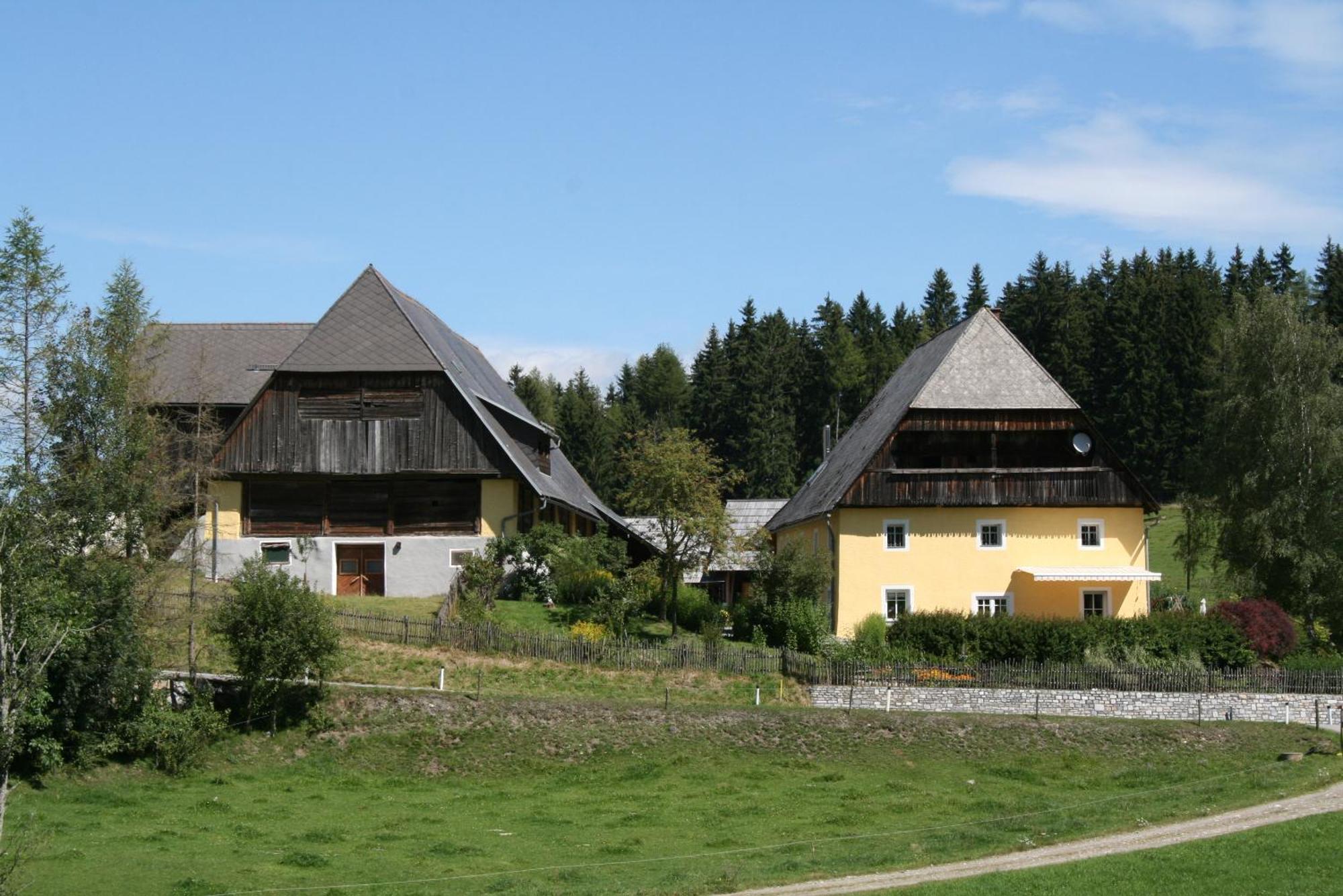 Villa Urlaub Am Bio-Bauernhof Liebchen Zeutschach Esterno foto