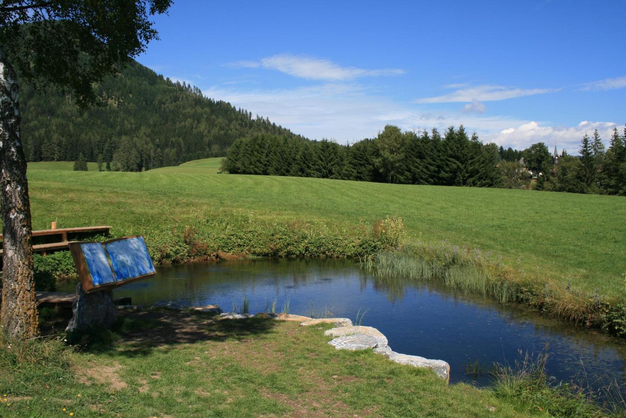 Villa Urlaub Am Bio-Bauernhof Liebchen Zeutschach Esterno foto